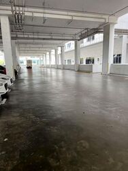 North Spring Bizhub (D27), Factory #637242381